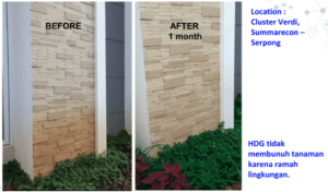 perawatan gedung nano coating perlindungan bangunan 19