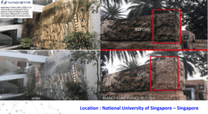 perawatan gedung nano coating perlindungan bangunan 29